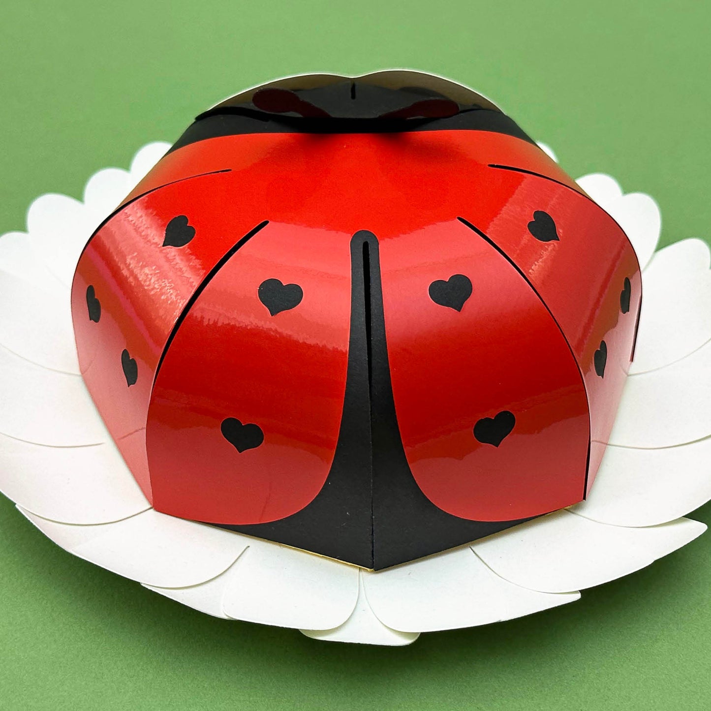 Ladybug Gift Box - SVG