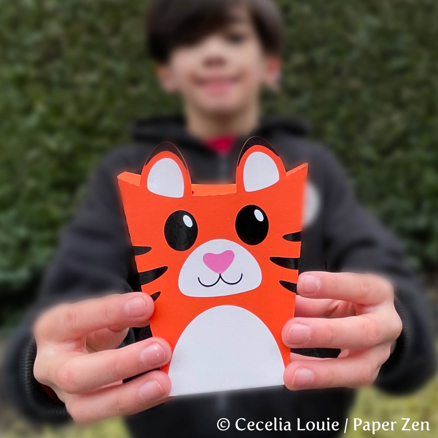 Tiger Gift Box - PDF