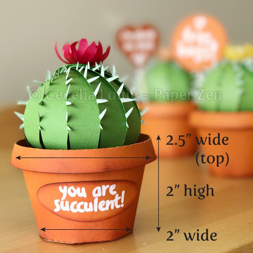 Cactus Succulent Pot Box - SVG