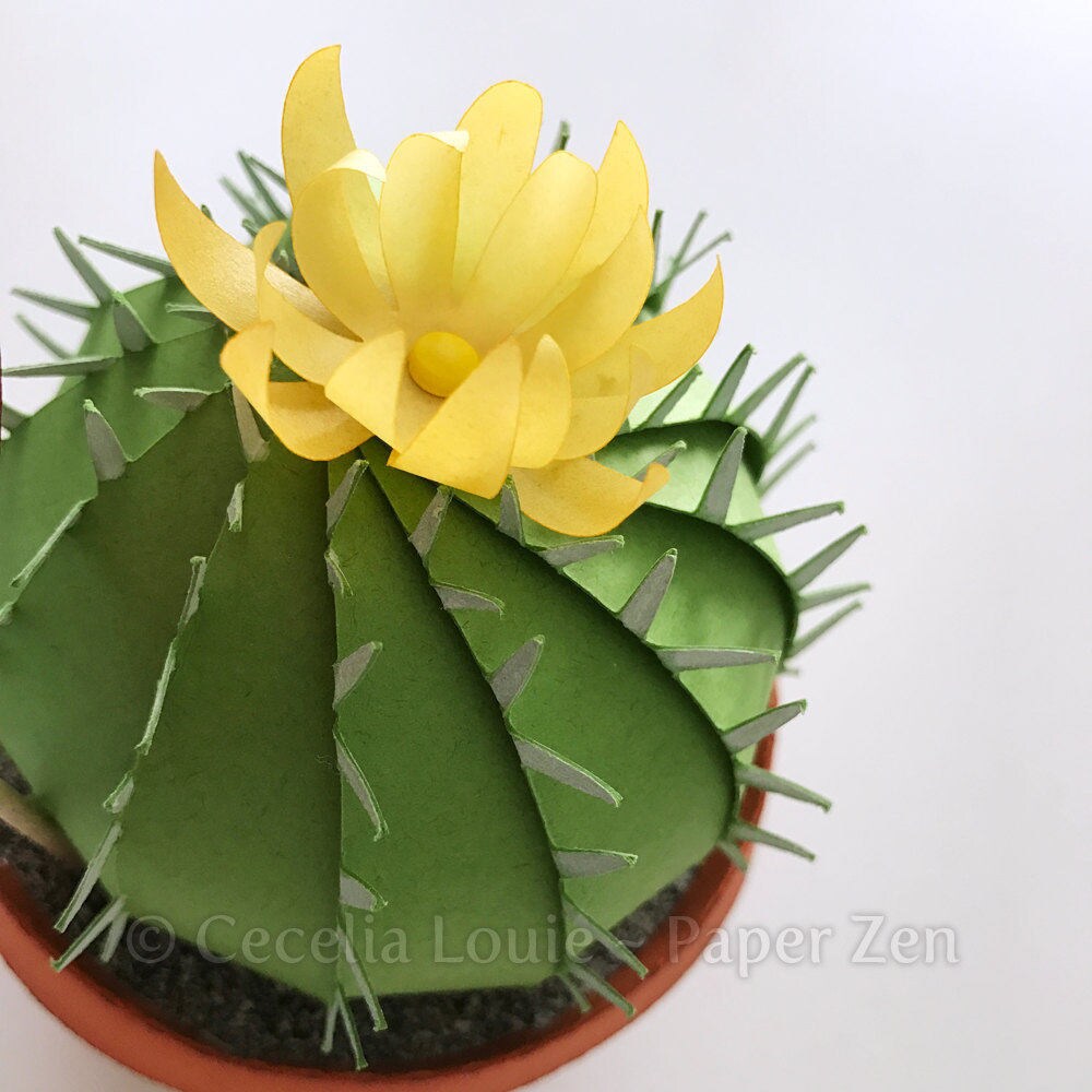 Cactus Succulent Pot Box - SVG