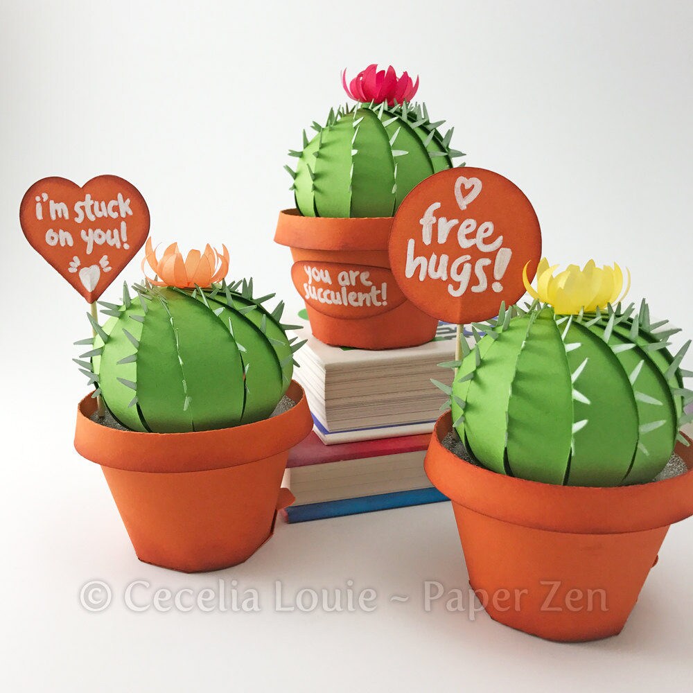 Cactus Succulent Pot Box - SVG