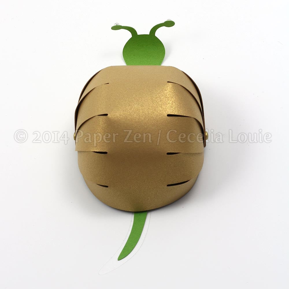 Snail Box - SVG