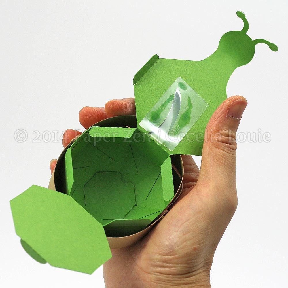 Snail Box - SVG