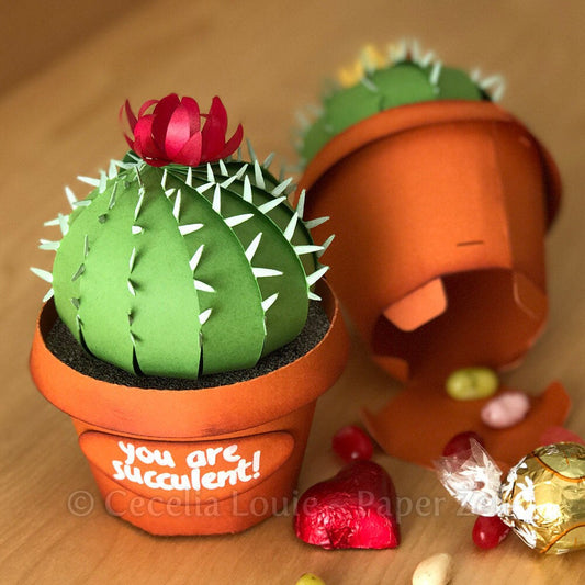 Cactus Succulent Pot Box - SVG