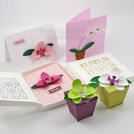 Orchid Box - SVG
