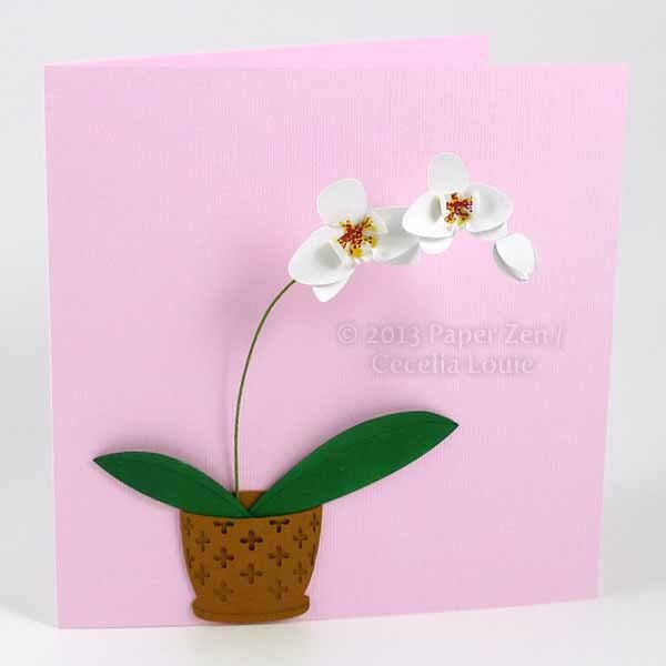 Orchid Box - SVG