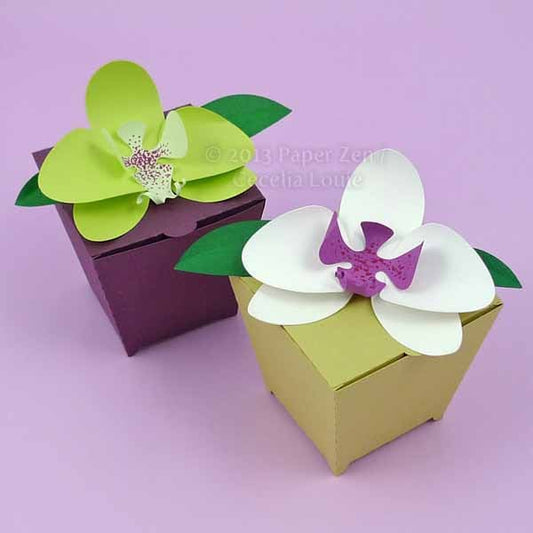 Orchid Box - SVG